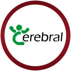 cerebral